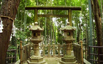 醍醐寺石清水八幡宫二条城夜樱