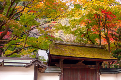 奈良-女人高野室生寺